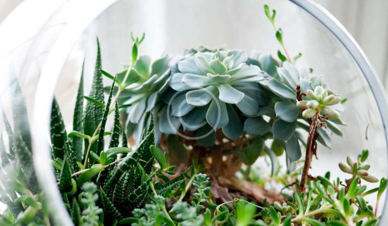 Terrarium Planter Table Runner